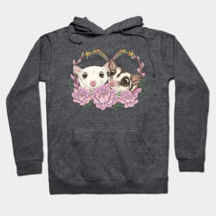 Sugar Gliders and Succulents Hoodie